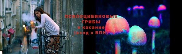мяу мяу мука Баксан