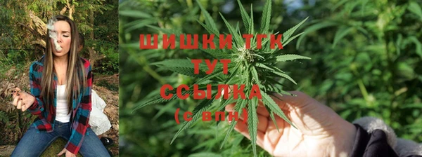 твердый Балахна