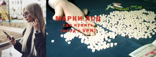 мяу мяу мука Баксан