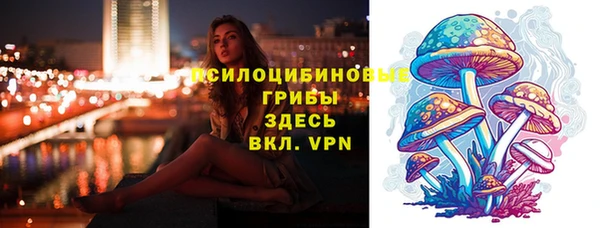 прущая мука Карпинск
