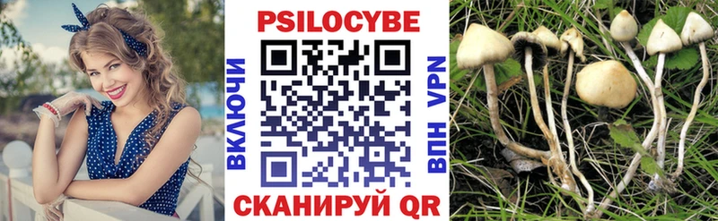 Галлюциногенные грибы мицелий  hydra ONION  Цоци-Юрт  где можно купить наркотик 